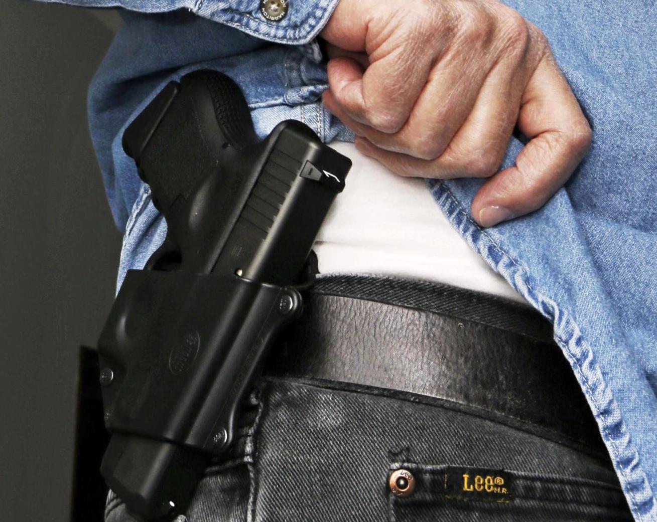 House Gun Bill